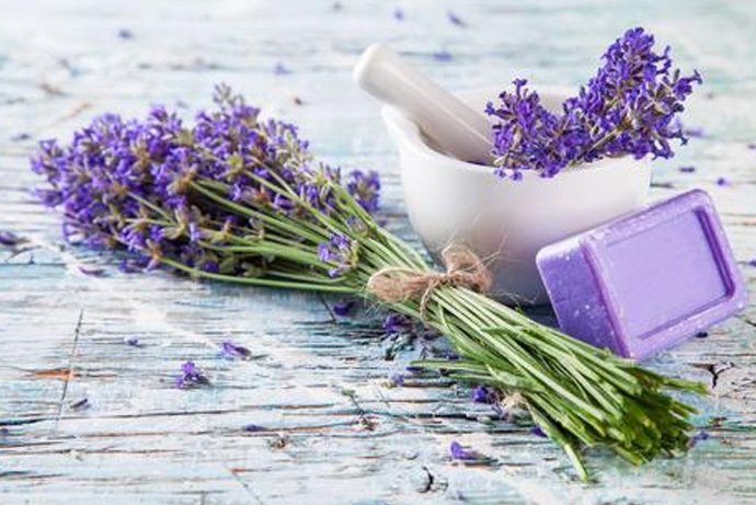 lavendar