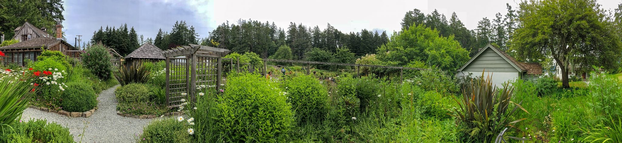 garden2