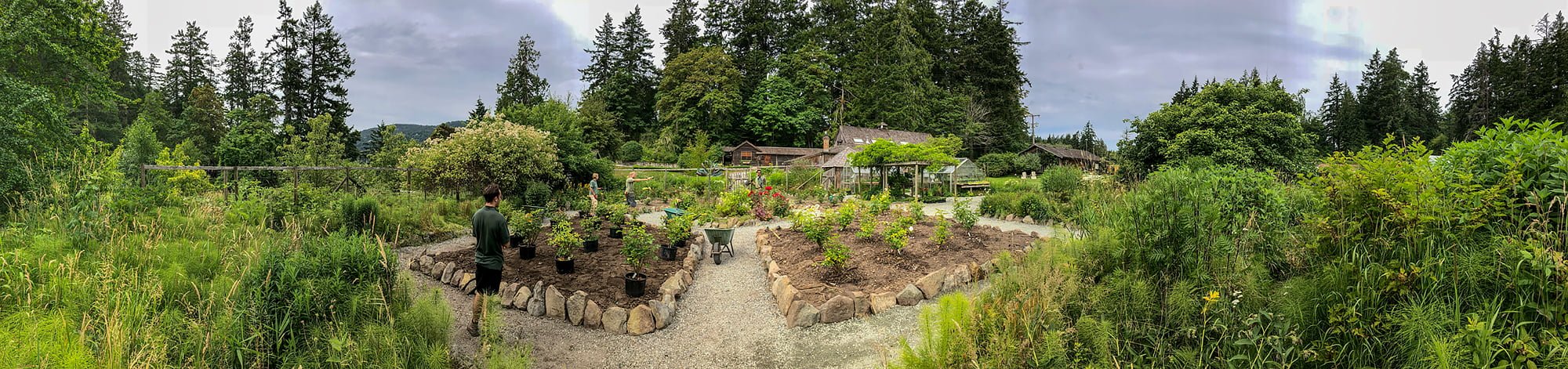 garden4