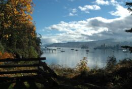 Fall and Family Promo