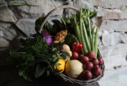 Farm-to-table