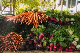 Produce At Hastings House
