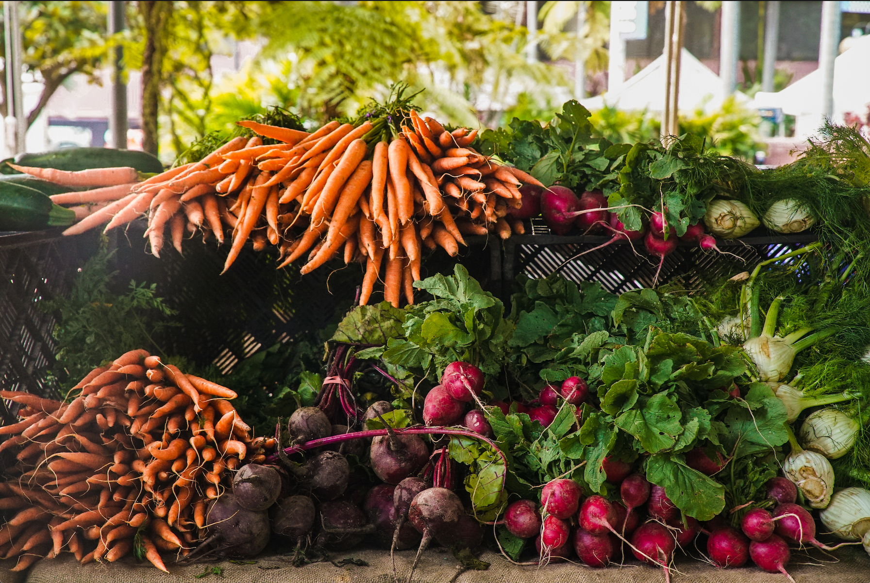 Harvest Season is Here on Salt Spring Why to Plan Your Holiday Now
