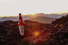 Salt Spring Island Ales