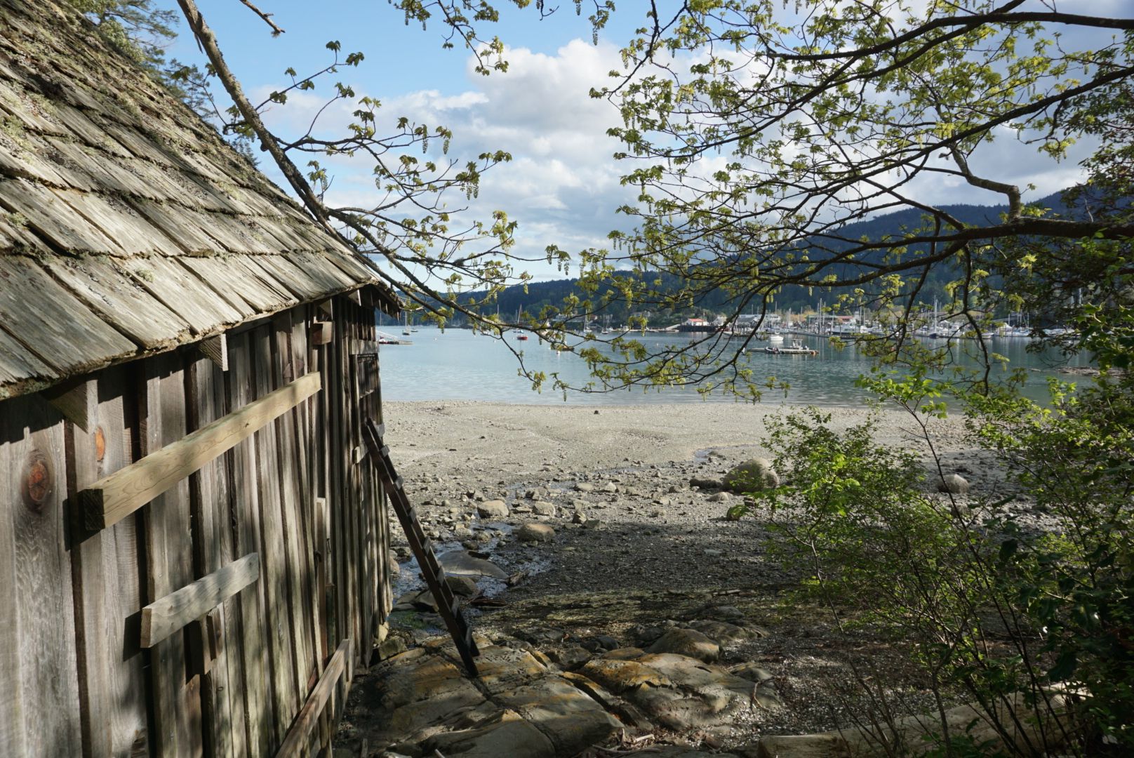 Beach at Hastings House