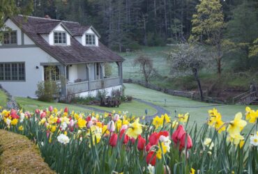 Hastings House Farmhouse Suites