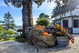 Fall At Hastings House