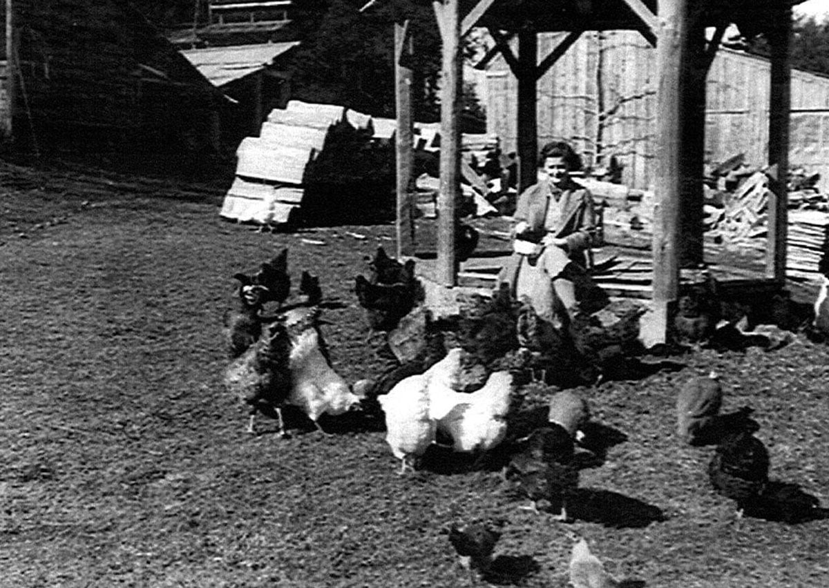 Barbara Hastings with chickens