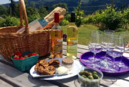 Salt Spring Vineyards