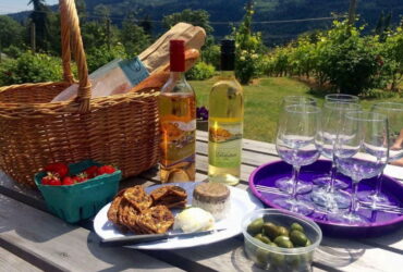 Salt Spring Vineyards
