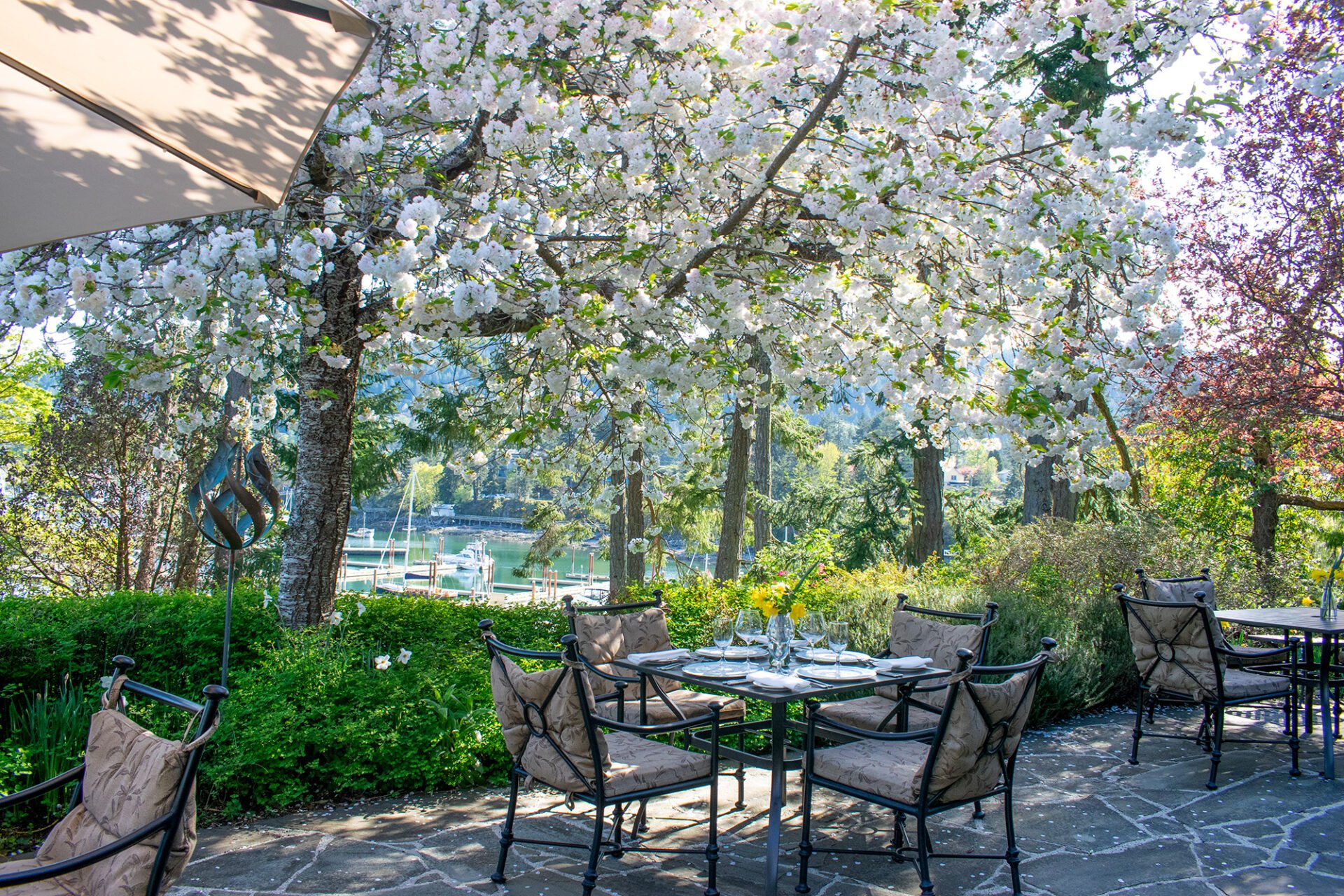 Terrace in Spring