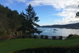 Best Picnic Spots On Salt Spring