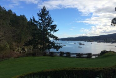 Best Picnic Spots On Salt Spring