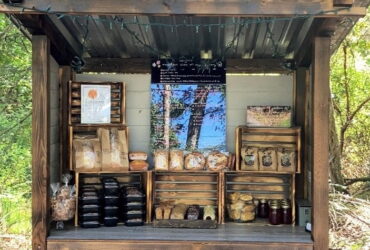Mountain View Bakery Farm Stand