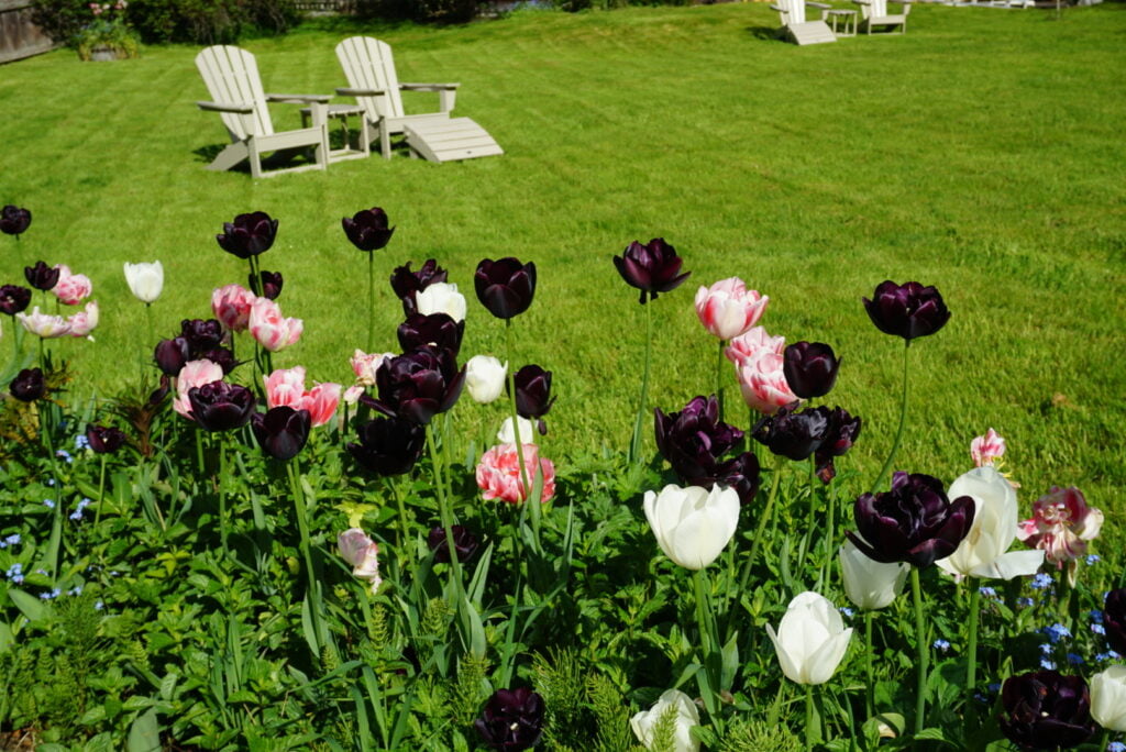 The Meadow Suite at Hastings House │ Hastings House