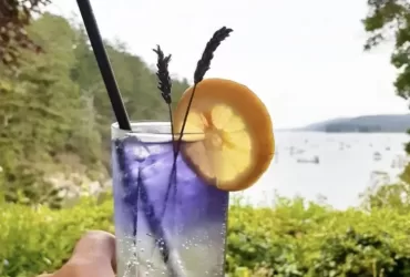 Lavender Gin Collins