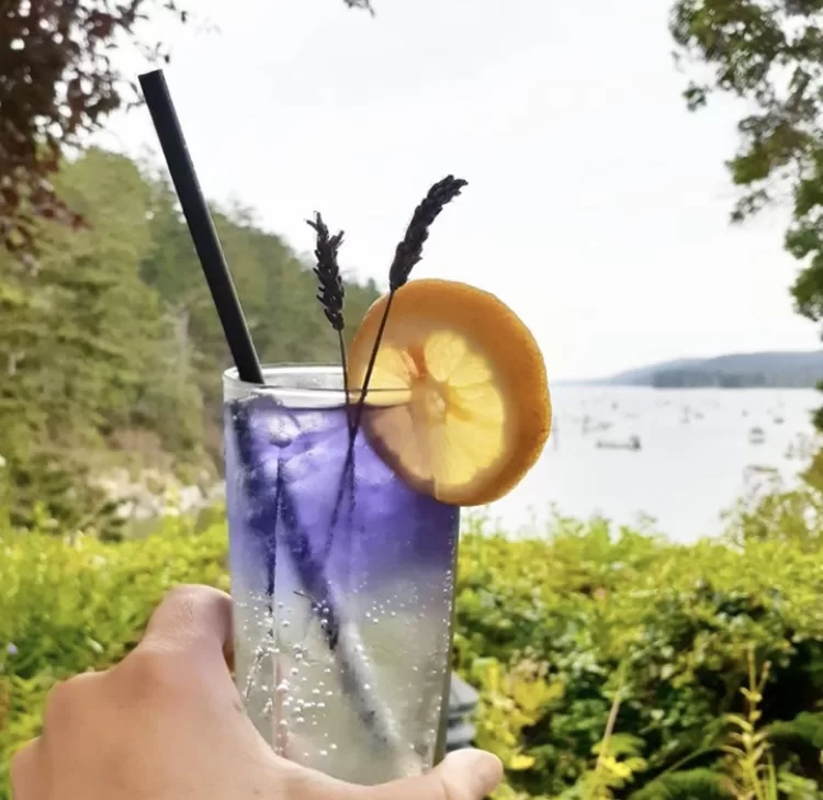 Lavender Gin Collins