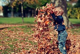 Travelling with Kids to Hastings House