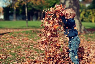 Travelling with Kids to Hastings House