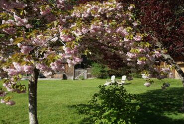 Spring at Hastings House
