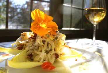 Endive and walnut salad