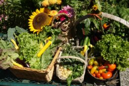 fresh produce from the Hastings House gardens