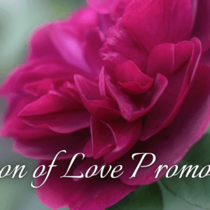 Season of Love Promotion at Hastings House